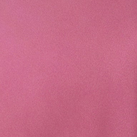 Solid pink surface of Rosie Satin Maxi Skirt, perfect for elegant outfits and occasions